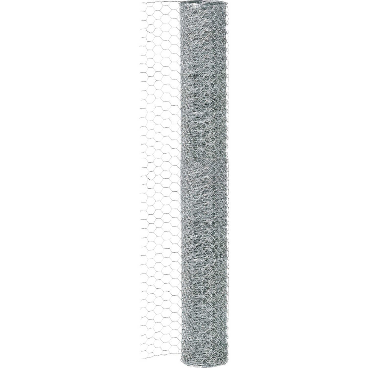 1/2 In. x 36 In. H. x 25 Ft. L. Hexagonal Wire Poultry Netting Image 3