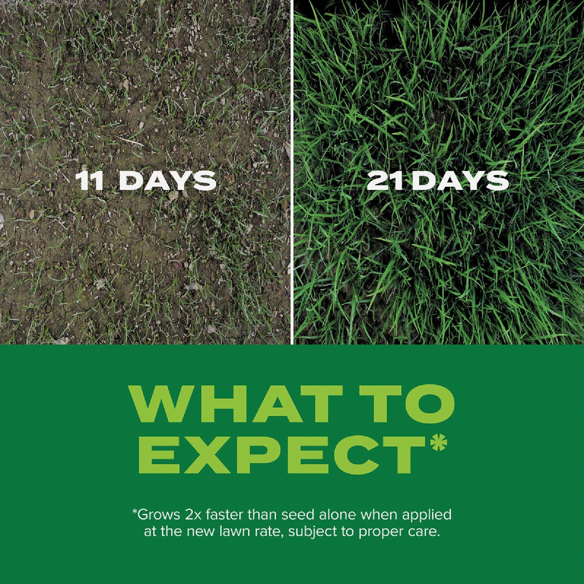 Scotts Turf Builder Rapid Grass 16 Lb. 5280 Sq. Ft. Tall Fescue Mix Grass Seed & Fertilizer Combination Image 4