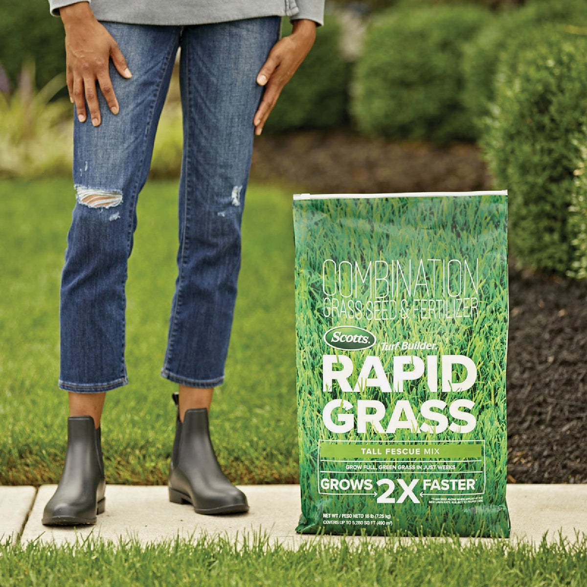 Scotts Turf Builder Rapid Grass 16 Lb. 5280 Sq. Ft. Tall Fescue Mix Grass Seed & Fertilizer Combination Image 2