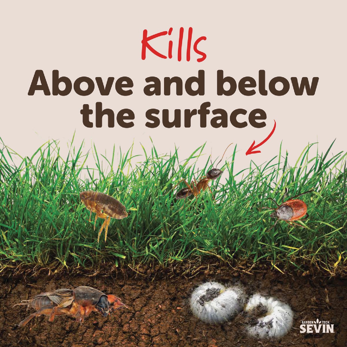 Garden Tech Sevin 10 Lb. Ready To Use Granules Lawn Insect Killer Image 5