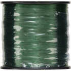 Berkley Trilene Big Game 50 Lb. 275 Yd. Green Monofilament Fishing Line Image 2