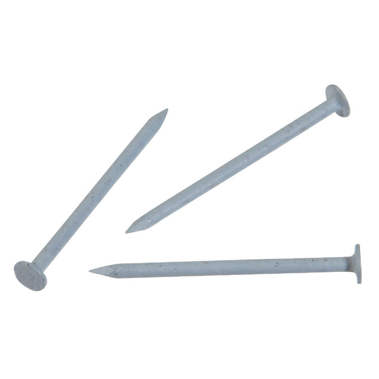 Hillman Anchor Wire 1-1/4 In. 15 ga Blue Stainless Steel Trim Nails (5-Count, 6 Oz.) Image 1