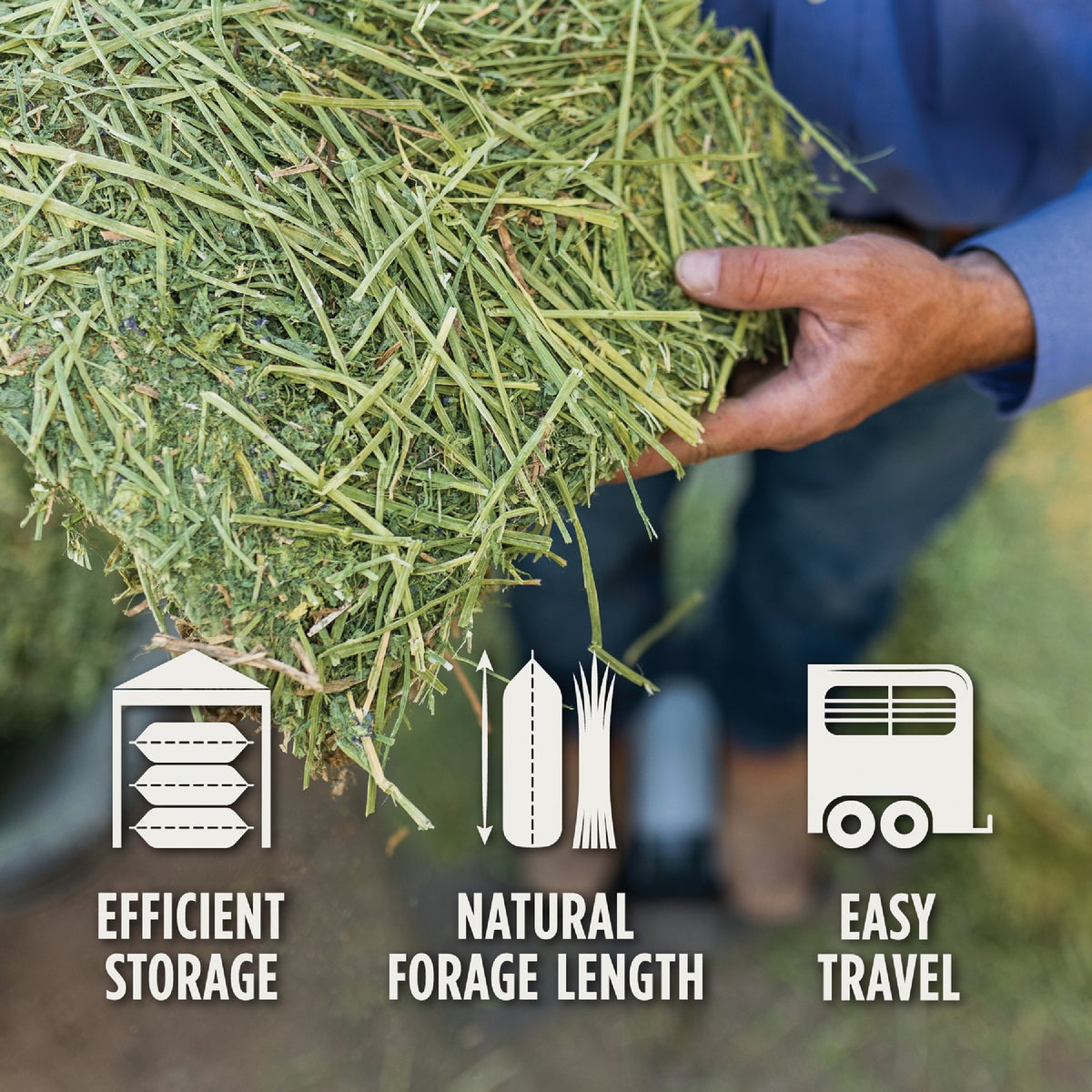 Standlee Premium Western Forage 50 Lb. Premium Alfalfa Grab & Go Compressed Bale Image 2