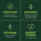 Scotts Turf Builder Healthy Plus Lawn Food FL 8000 Sq. Ft. 2-In-1 Fungicide & Fertilizer Image 4