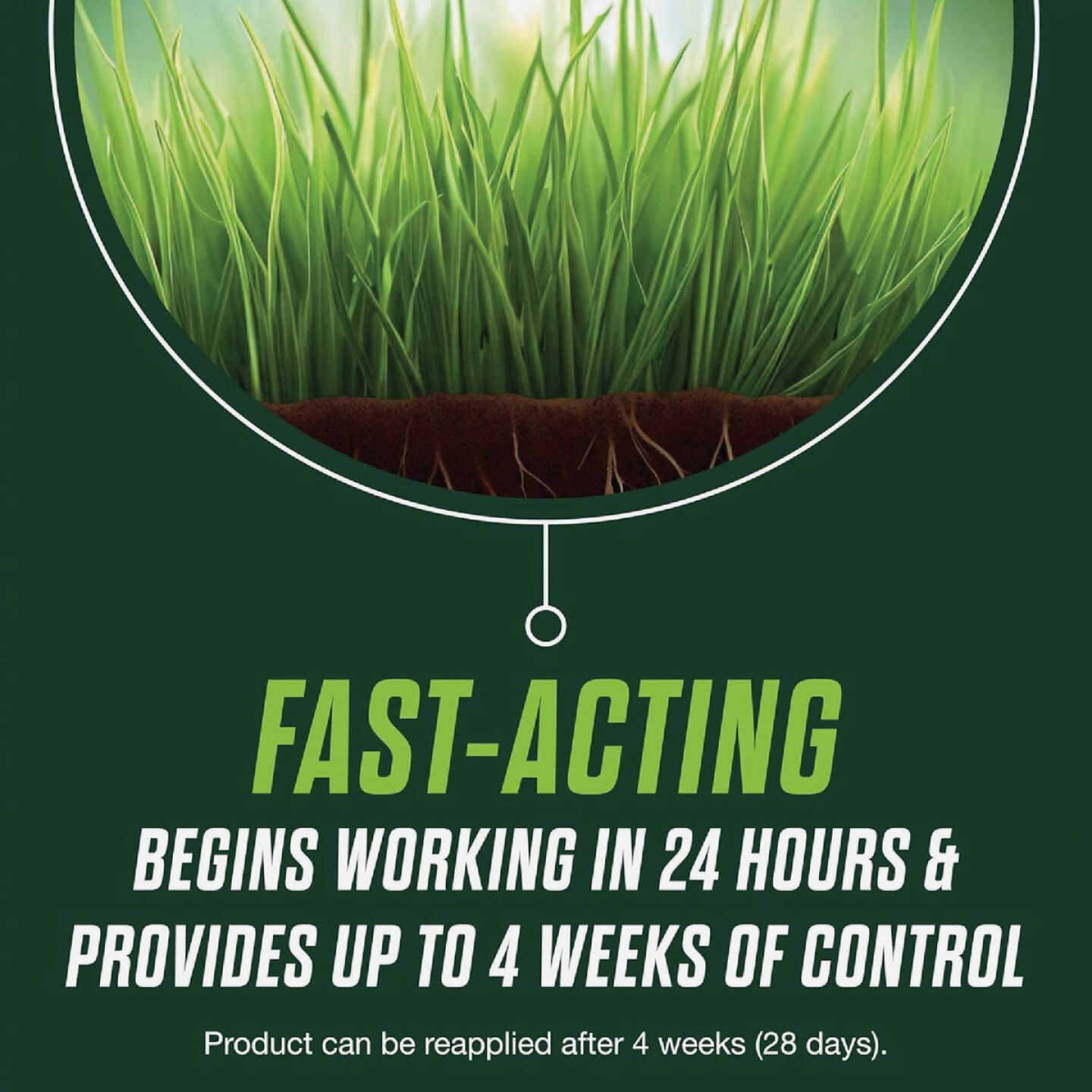 Scotts Turf Builder Healthy Plus Lawn Food FL 8000 Sq. Ft. 2-In-1 Fungicide & Fertilizer Image 7
