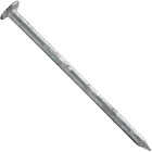 Maze Stormguard 2-1/2 In. Hot Dipped Galvanized Siding Nails (645 Ct., 1 Lb.) Image 1
