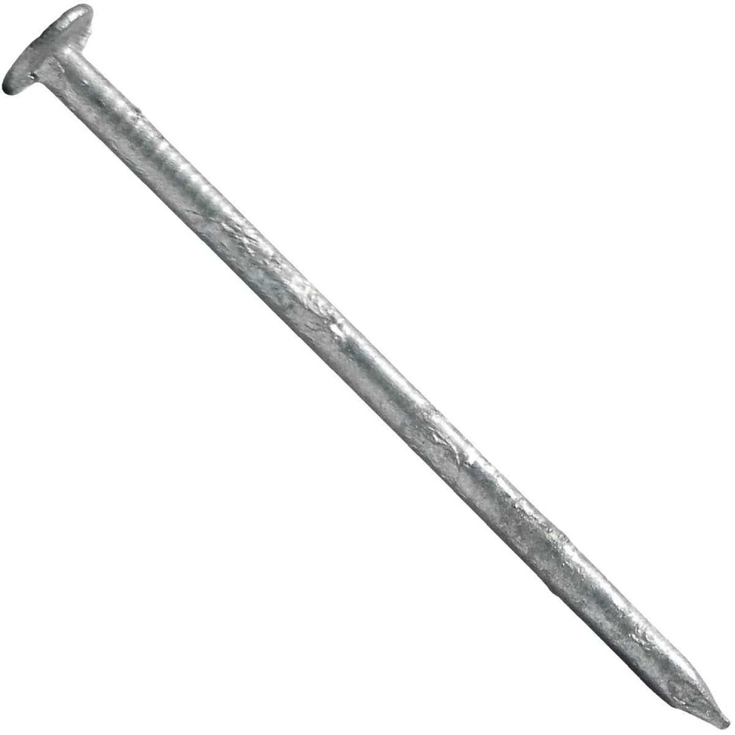 Maze Stormguard 2-1/2 In. Hot Dipped Galvanized Siding Nails (645 Ct., 1 Lb.) Image 1