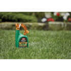 Ortho WeedClear 32 Oz. Ready-To-Use Spray Hose End Lawn Weed Killer Image 5