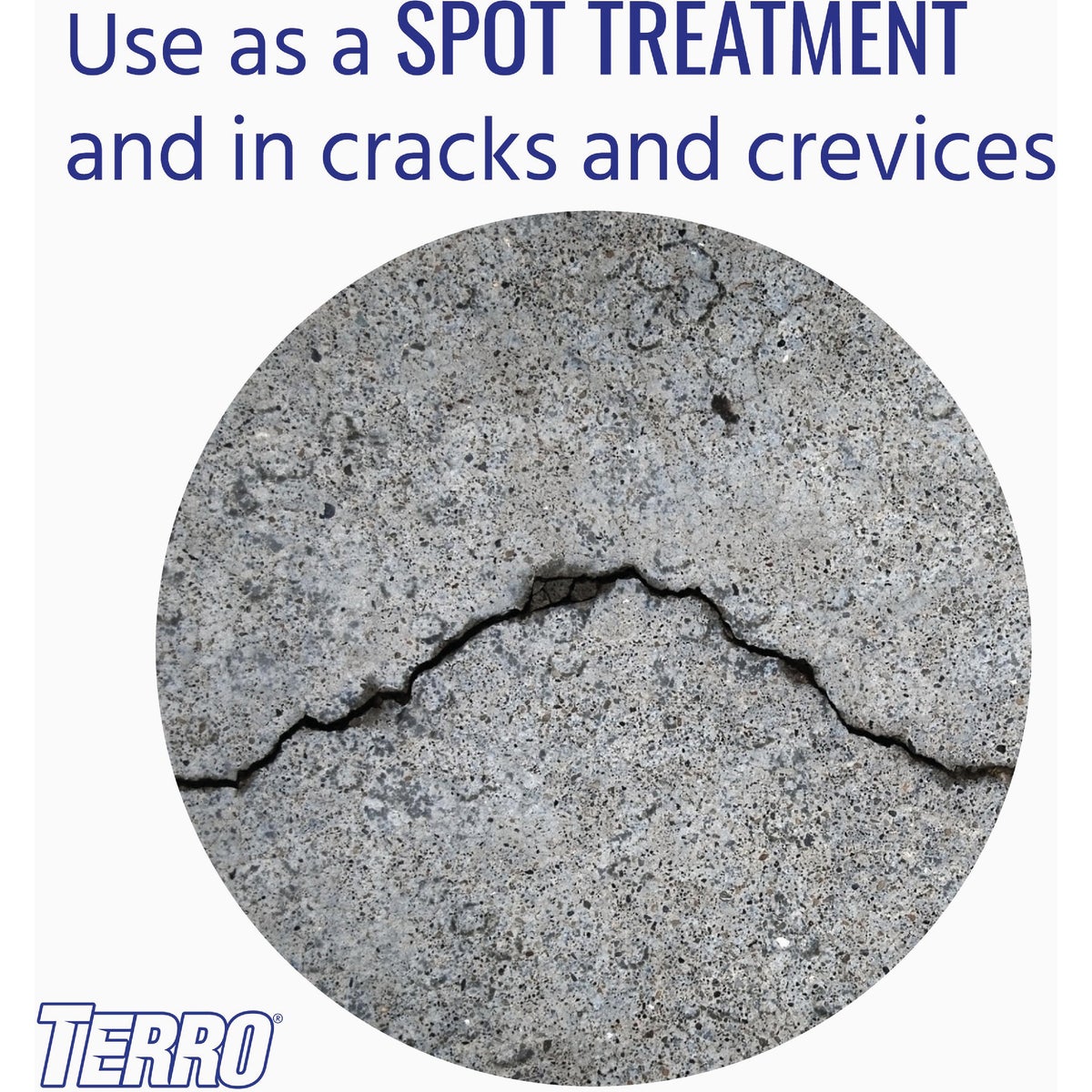 Terro 16 Oz. Aerosol Spray Ant Killer Image 5