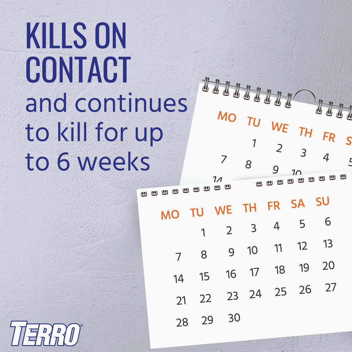 Terro 16 Oz. Aerosol Spray Ant Killer Image 4