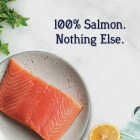 Stewart 2.75 Oz. Tub Wild Salmon Dog Treat Image 3