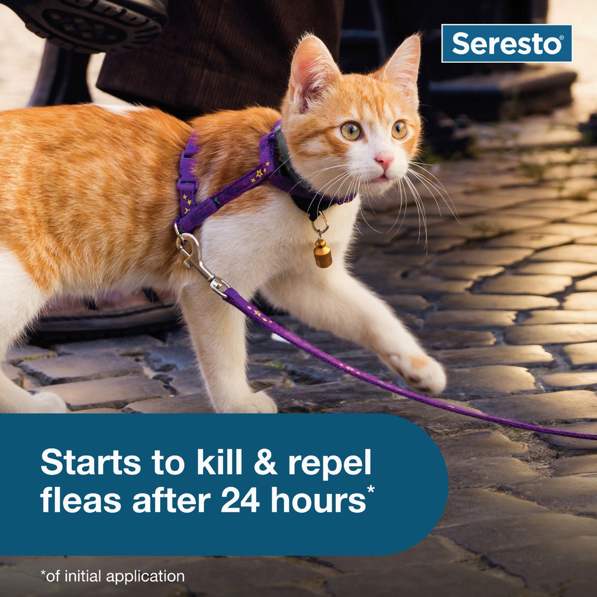 Seresto 8 Month Flea & Tick Collar for Cats Image 3