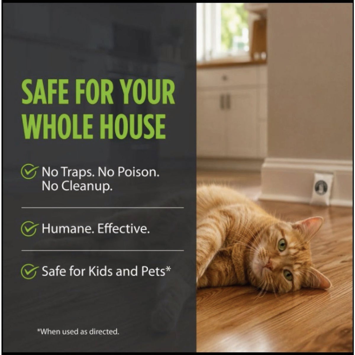 Grandpa Gus's Mouse Repellent Pouches (5-Pack) Image 4