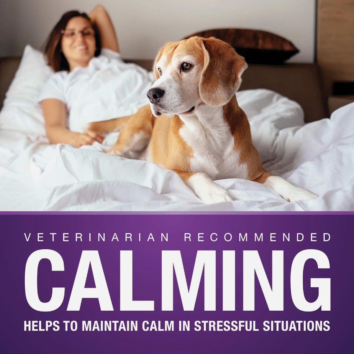 VetIQ 7.4 Oz. Calming Dog Chew (60-Pack) Image 2