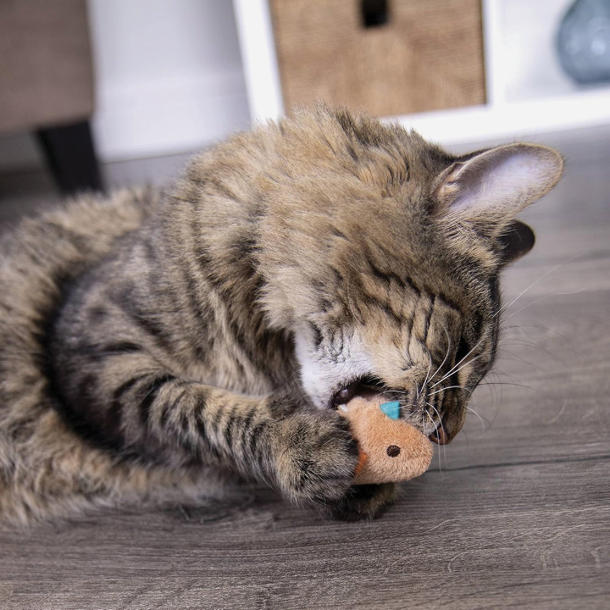 SmartyKat Chickadee Chirp Electronic Sound Catnip Cat Toy Image 2