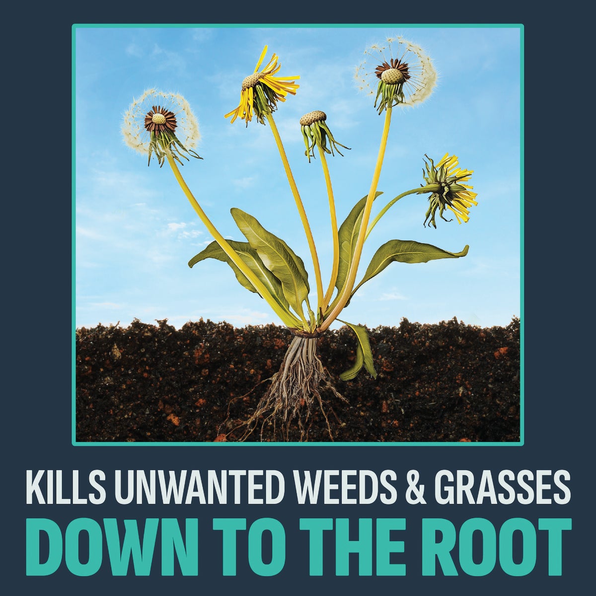 Lilly Miller Image 10 Lb. Granular Noxall Vegetation Killer Image 5