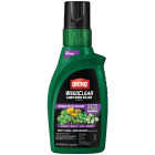 Ortho WeedClear 32 Oz. Concentrate Southern Lawn Weed Killer Image 1