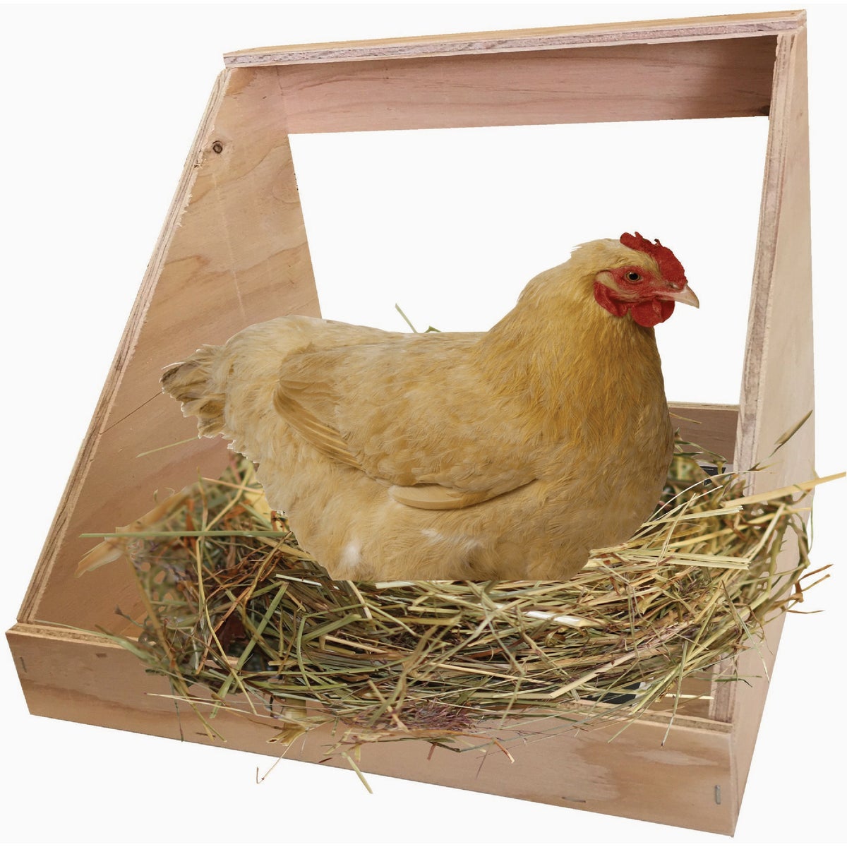 Harvest Lane Honey 12 In. x 12 In. x 12 In. Single Chicken Nesting Box Image 3