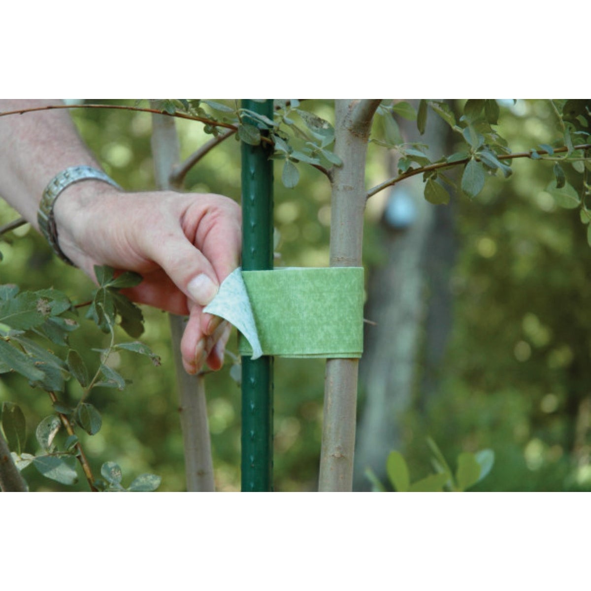 VELCRO Brand One-Wrap 2 In. x 18 Ft. Green Tree Tie Roll Image 4