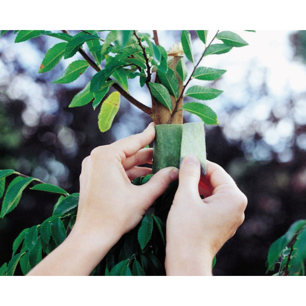 VELCRO Brand One-Wrap 2 In. x 18 Ft. Green Tree Tie Roll Image 2