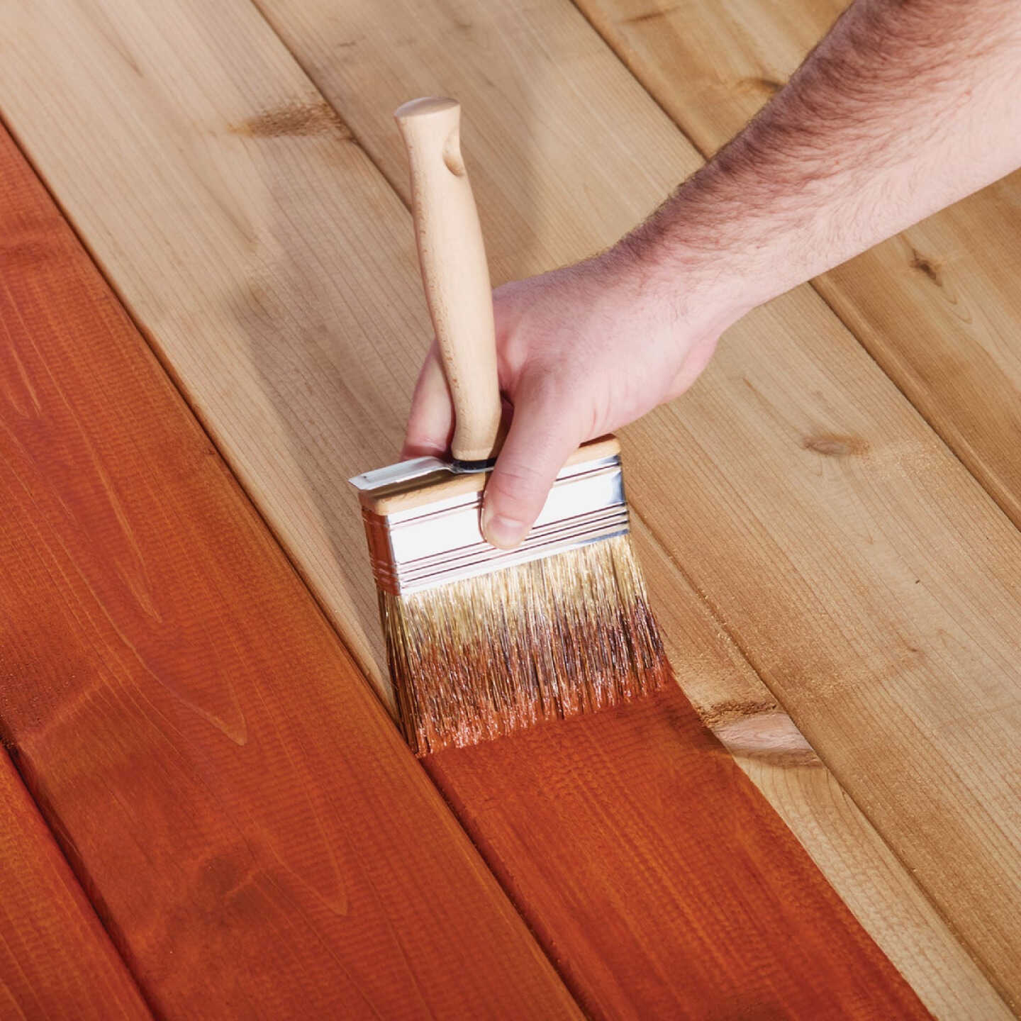 Cabot 4 In. Block Wood Stain Brush Image 3