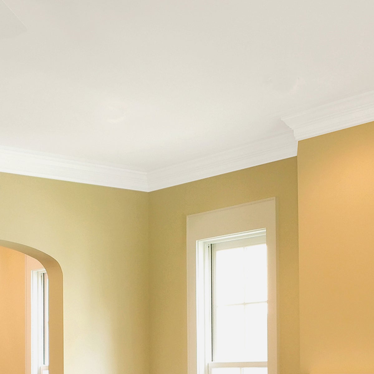 Zinsser Latex Paint & Primer In One Stainblock Flat Ceiling Paint, Bright White, 1 Gal. Image 2