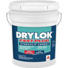 Drylok Fast Plug 50 Lb. Pail Hydraulic Cement Image 1