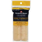 Benjamin Moore 6.5 In. x 3/8 In. High Capacity Mini Rollers (2-Pack) Image 1