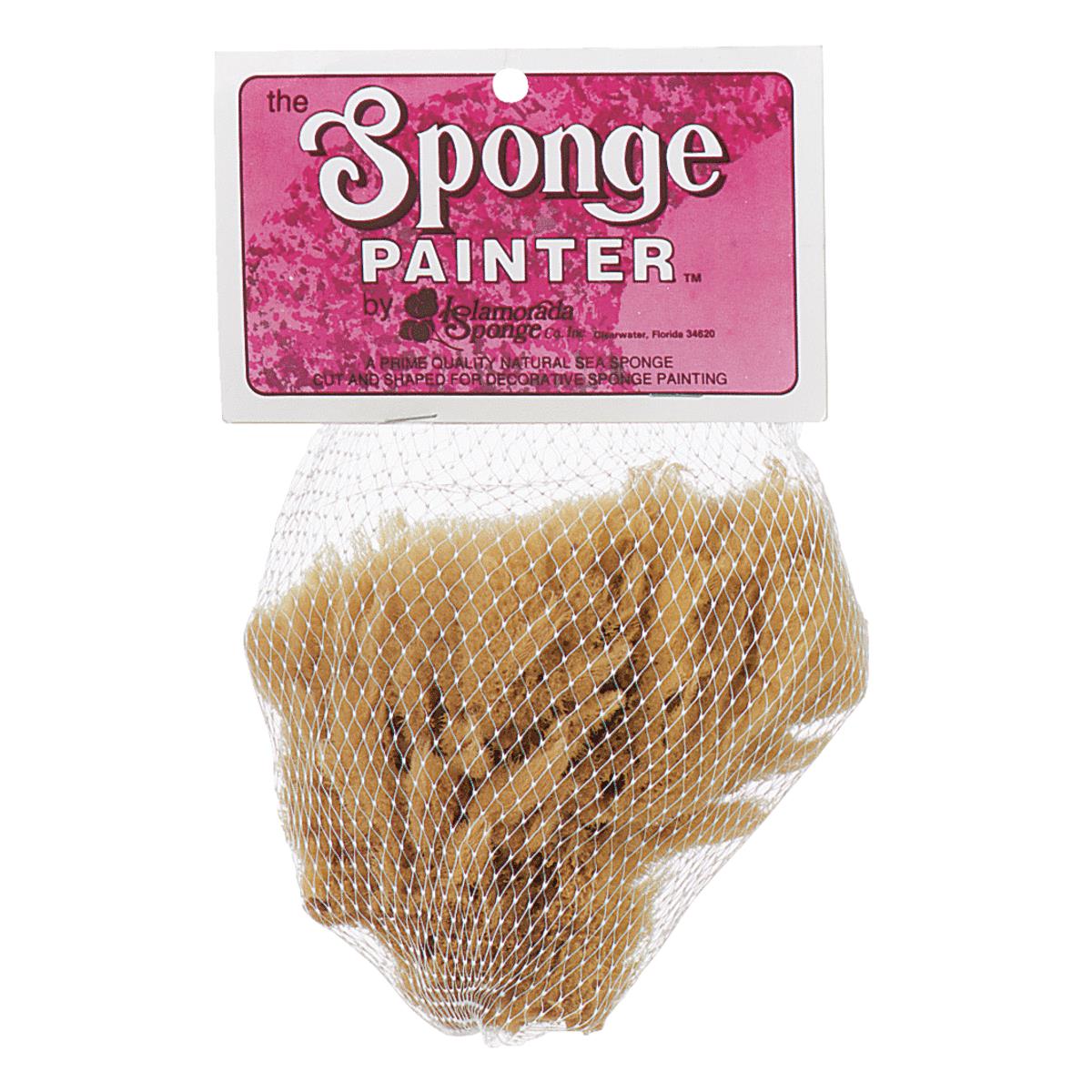 Sponges