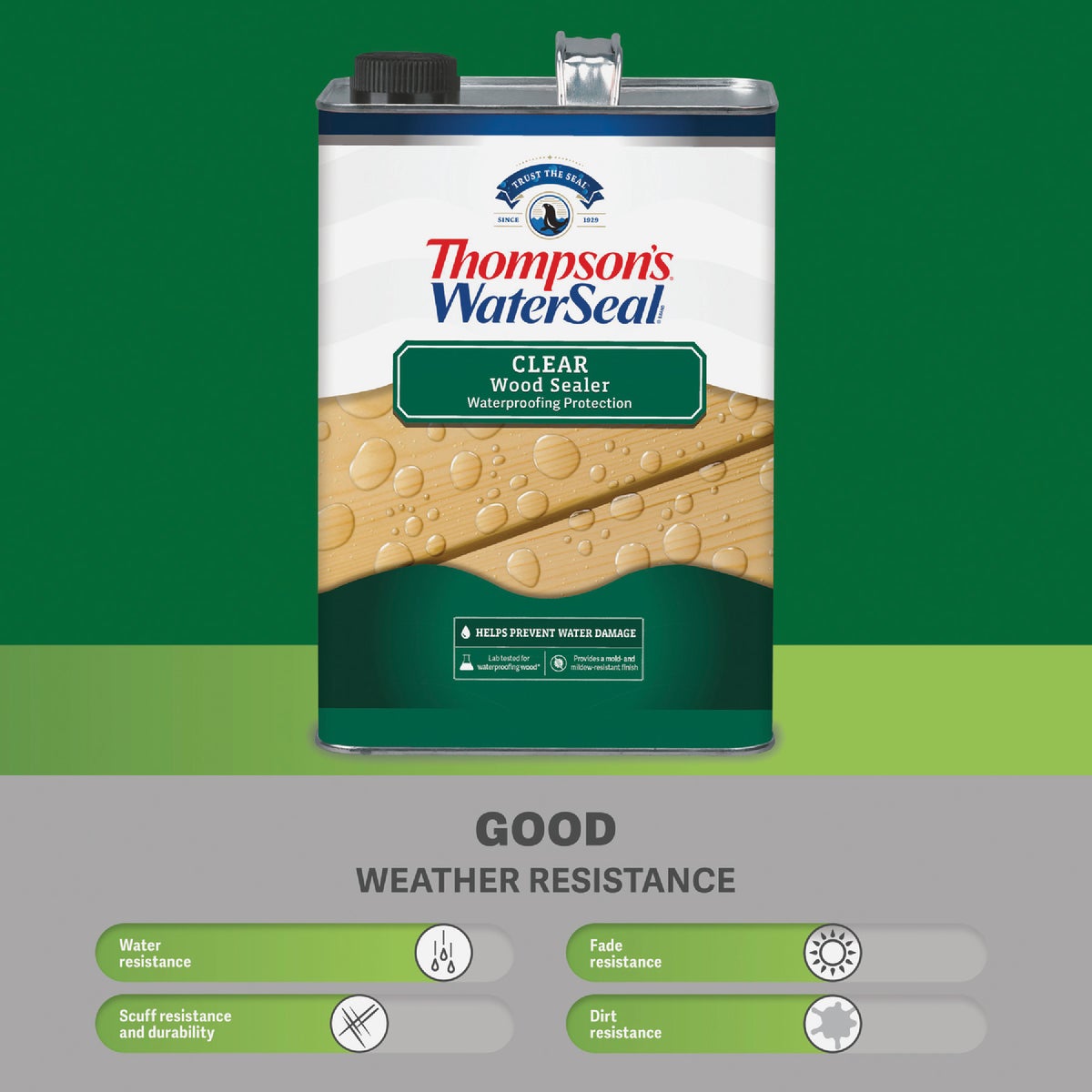 Thompsons WaterSeal  1.2 Gal. Clear Wood Sealer Image 6