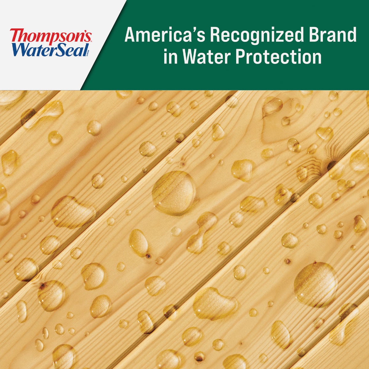 Thompsons WaterSeal  1.2 Gal. Clear Wood Sealer Image 5