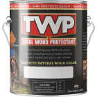 TWP 100 Pro Series Wood Protectant, Clear, 1Gal. Image 1