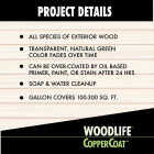 Rust-Oleum Woodlife Water-Based Coppercoat Green Wood Preservative, 1 Gal. Image 5