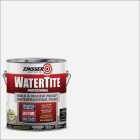 Zinsser WaterTite Professional Bright White Mold and Mildew-Proof Waterproofing Paint, 1 Gal. Image 1