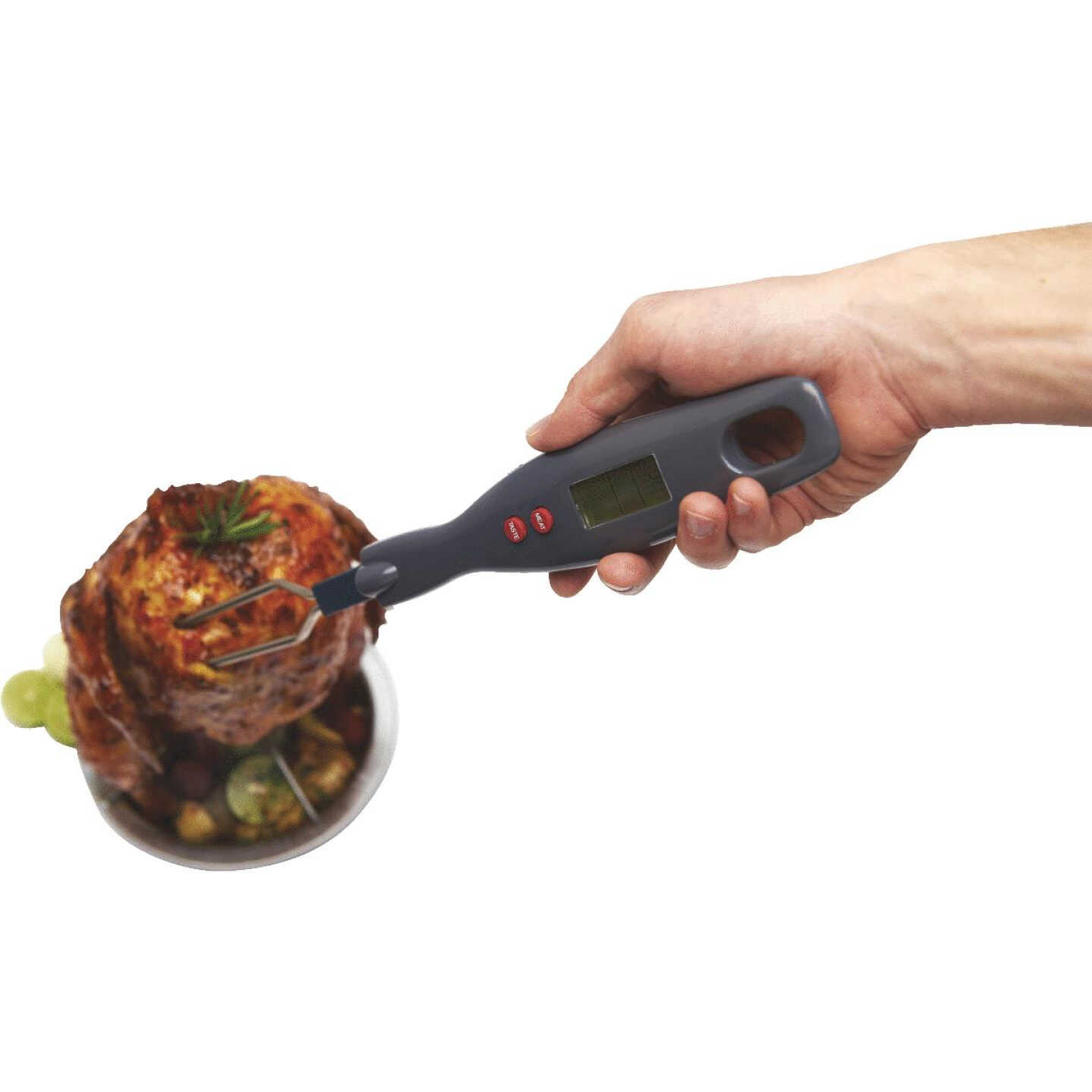 LED THERMOMETER FORK Image 1