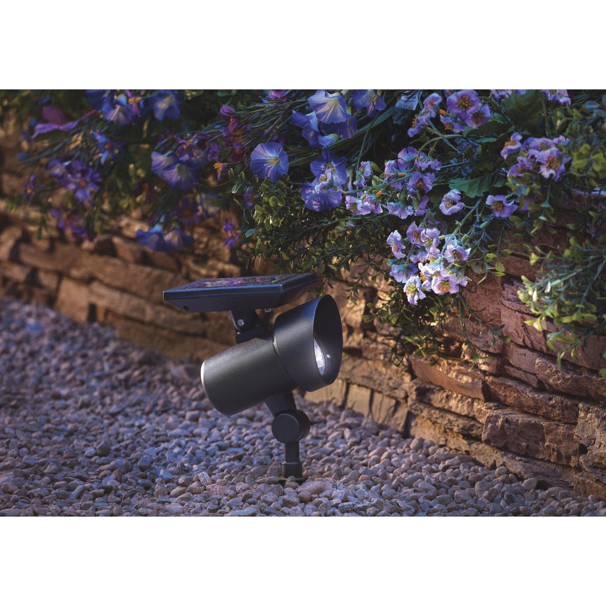 Outdoor Decor