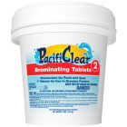 PacifiClear 4 Lb. Bromine Tablet Image 1