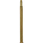 Coleman Single Mantle Lantern Generator Image 1