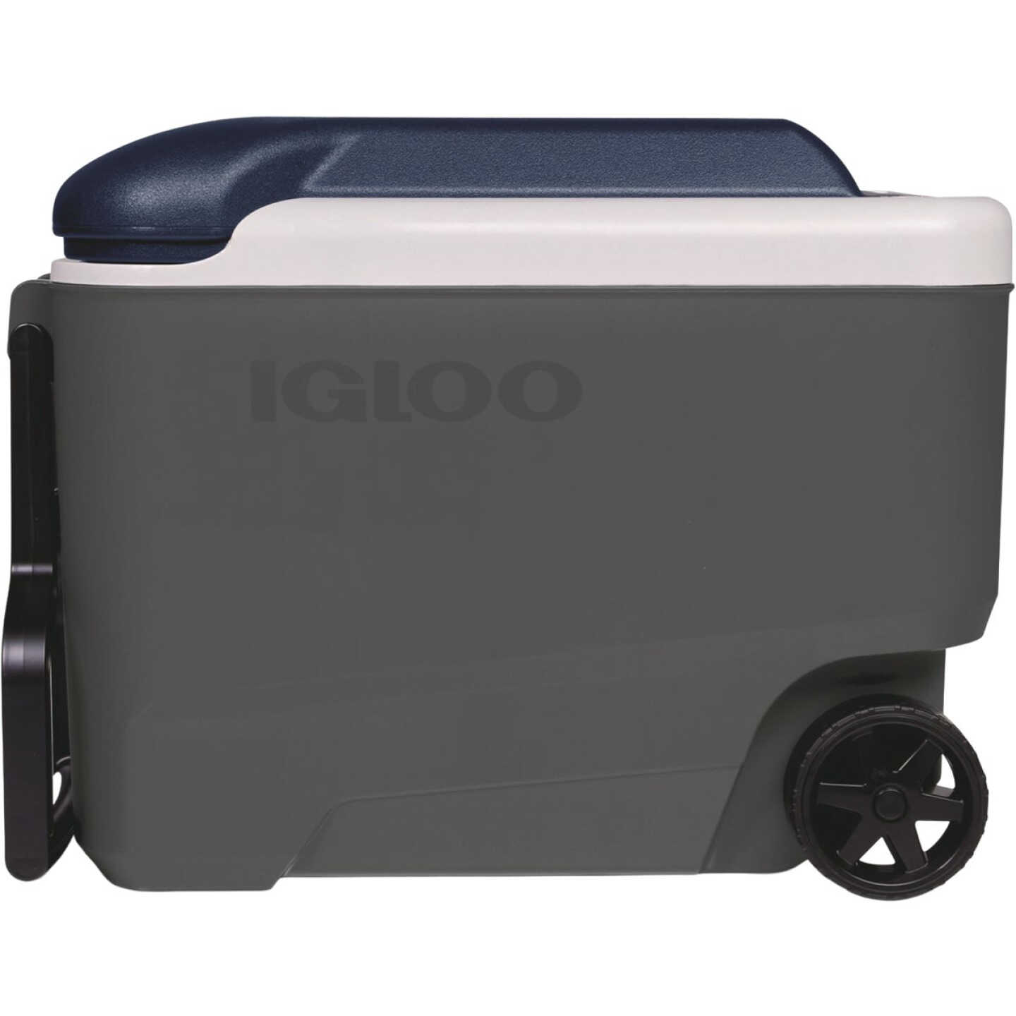 Igloo MaxCold 40 Qt. Roller Cooler, Ash Gray & Aegean Sea Image 1