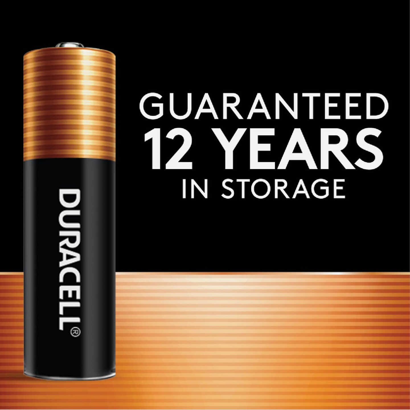 Duracell CopperTop AAA Alkaline Battery (8-Pack) Image 3