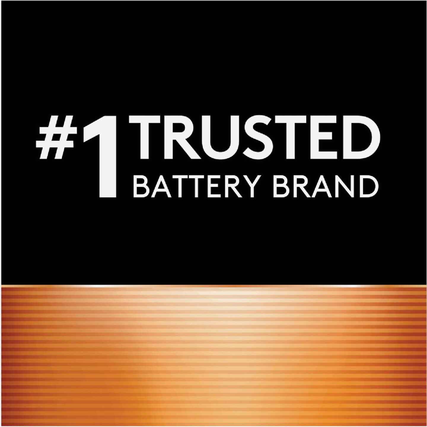 Duracell CopperTop AAA Alkaline Battery (4-Pack) Image 5