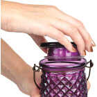 Perky-Pet Diamond Wine 24 Oz. Glass Top-Fill Hummingbird Feeder Image 3