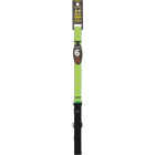 Lupine 1 In. x 6 Ft. Reflective Green-Diamond Dog Leash Image 1