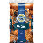 Nature's Own 7 Lb. Ear Corn Image 1