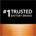 Duracell CopperTop D Alkaline Battery (2-Pack) Image 4