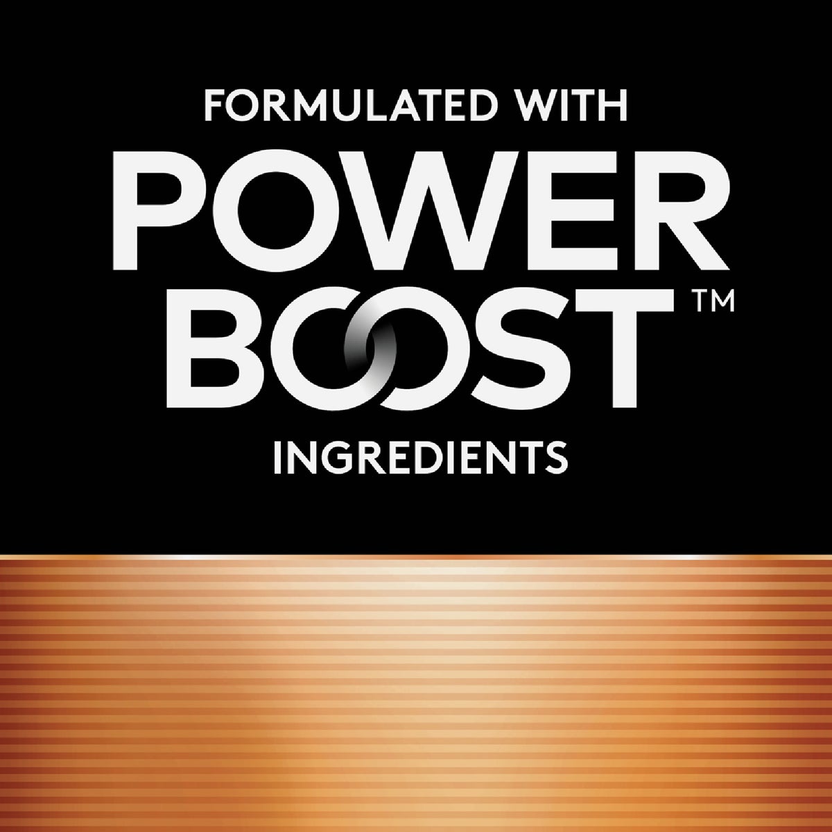 Duracell CopperTop AA Alkaline Battery (4-Pack) Image 2