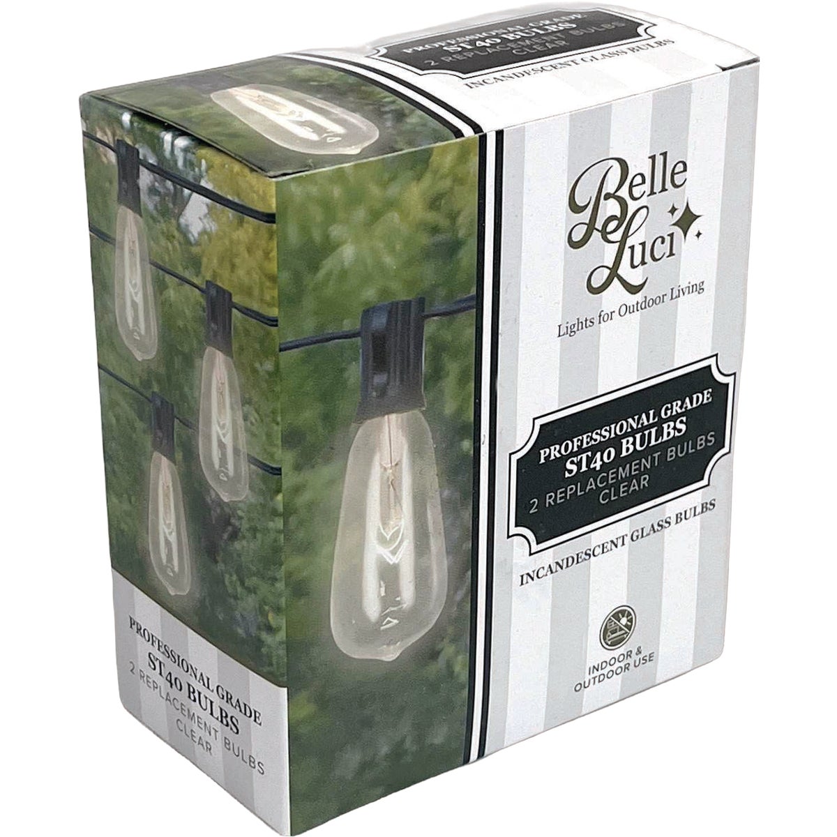 Holiday Bright Lights Belle Luci ST40 E17 Base Clear Edison Incandescent Bulb (2-Pack)