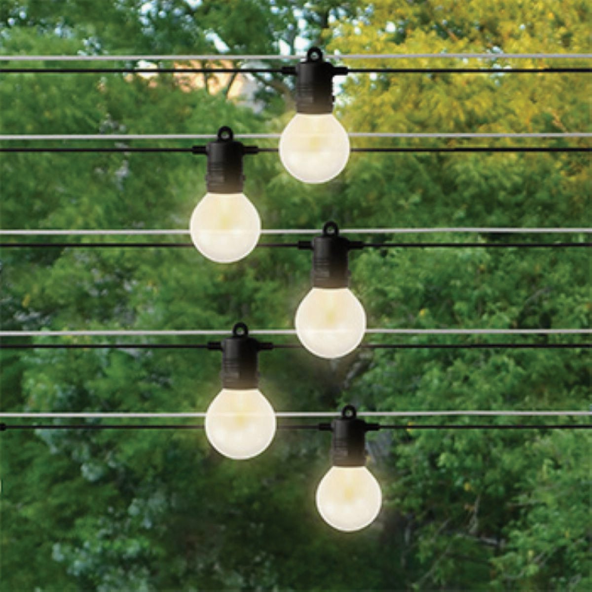 Holiday Bright Lights Belle Luci 12-Bulb G50 Warm White Transparent LED Light Kit