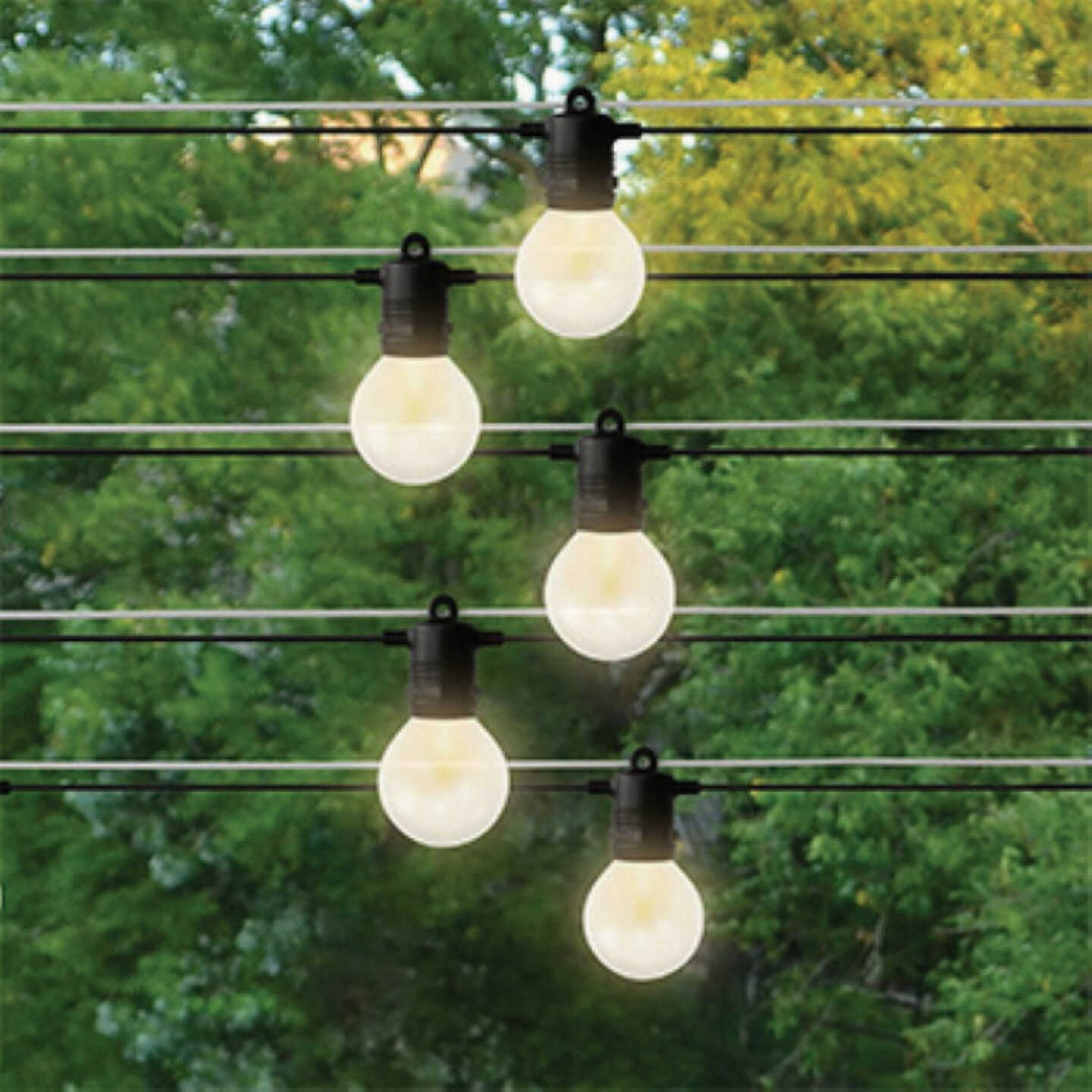 Holiday Bright Lights Belle Luci 12-Bulb G50 Warm White Transparent LED Light Kit Image 1
