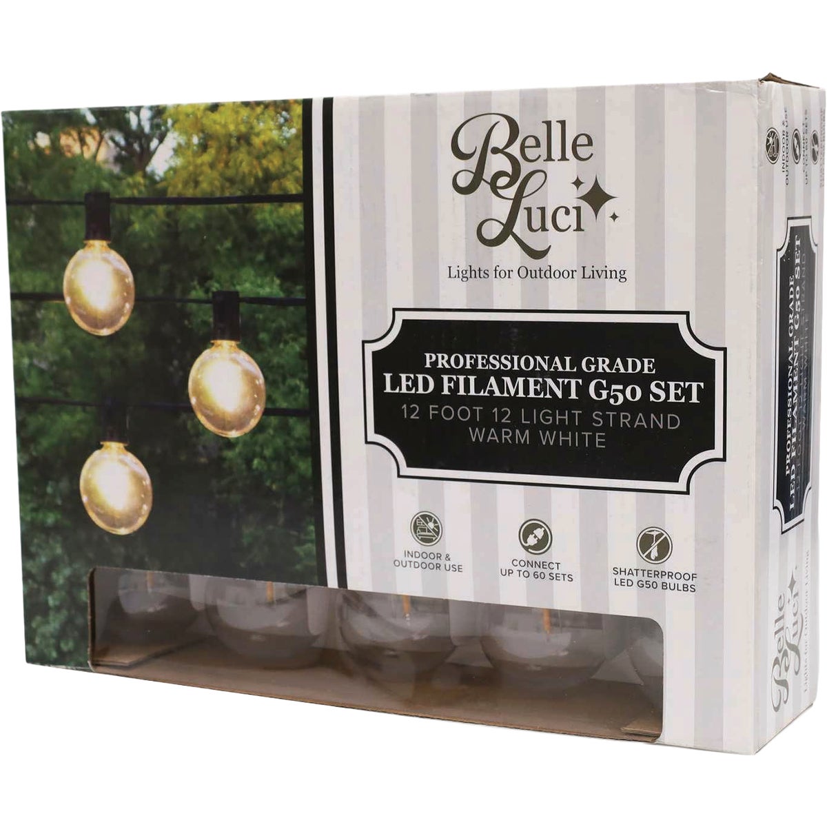 Holiday Bright Lights Belle Luci 12-Bulb G50 Warm White Transparent LED Light Set